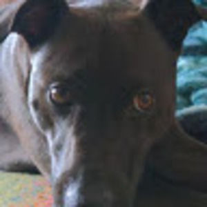 Meet your Posher, Charlotte